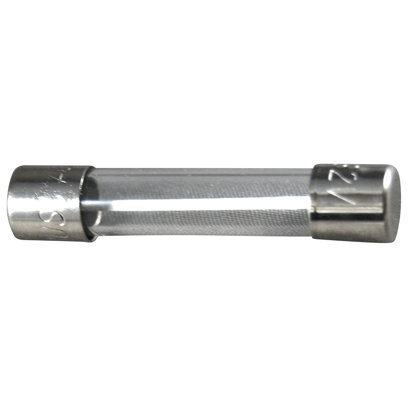 AGC Fuses (30 Amp)