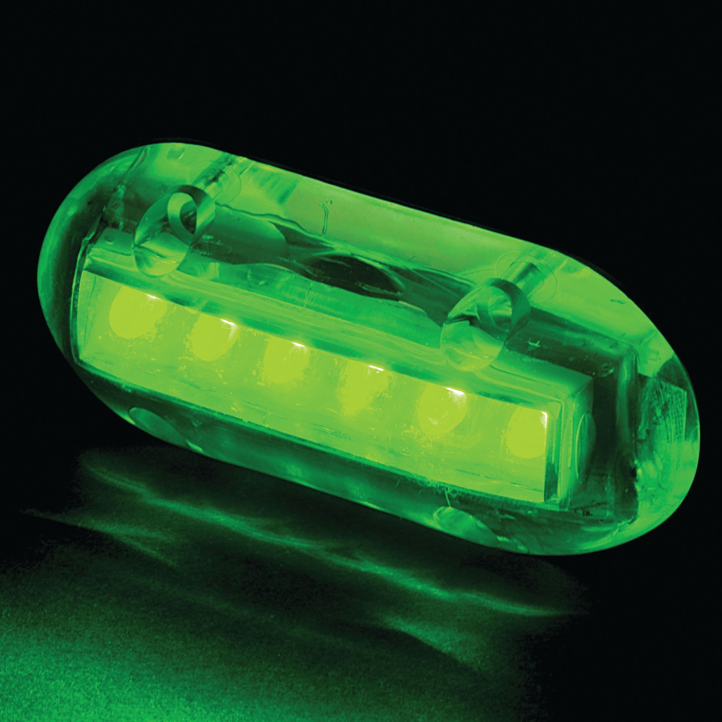 L.E.D. High Intensity Underwater Light (Green)
