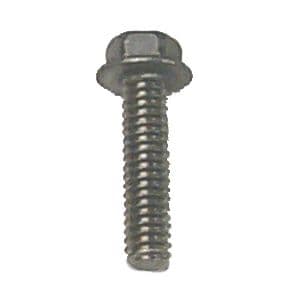 SS Bolt