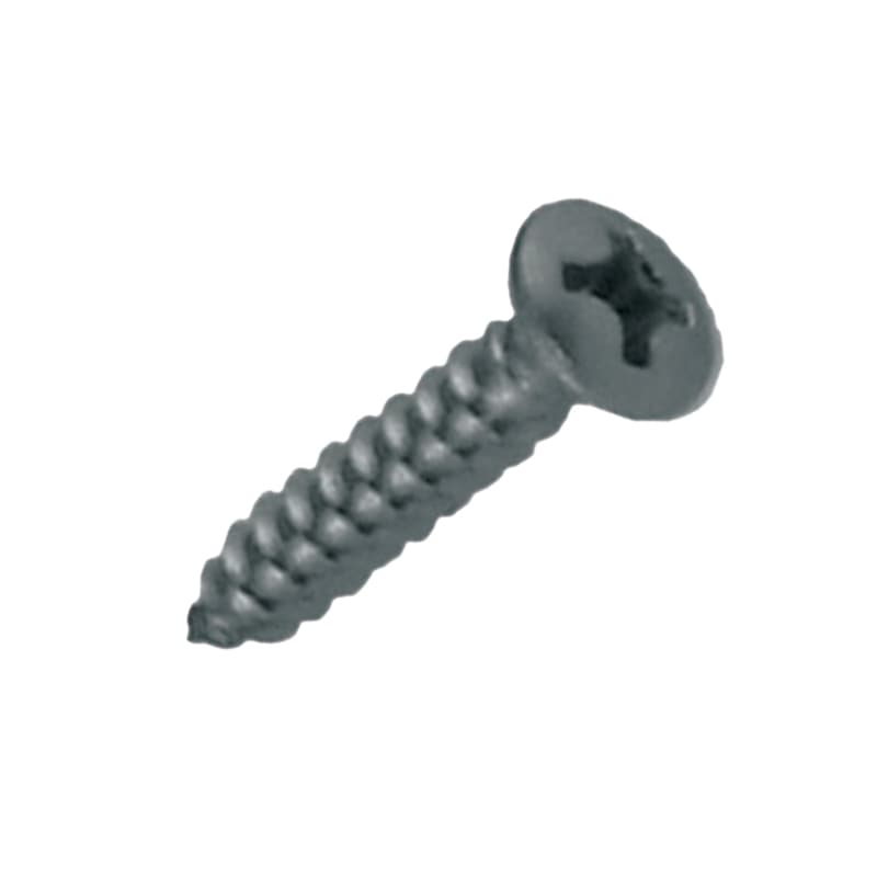 Phillips Pan Sheet Metal Screws (10 x 1, 5 pcs)